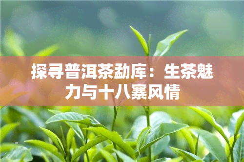 探寻普洱茶勐库：生茶魅力与十八寨风情