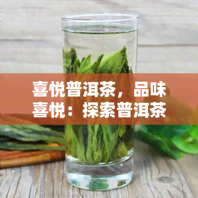 喜悦普洱茶，品味喜悦：探索普洱茶的世界