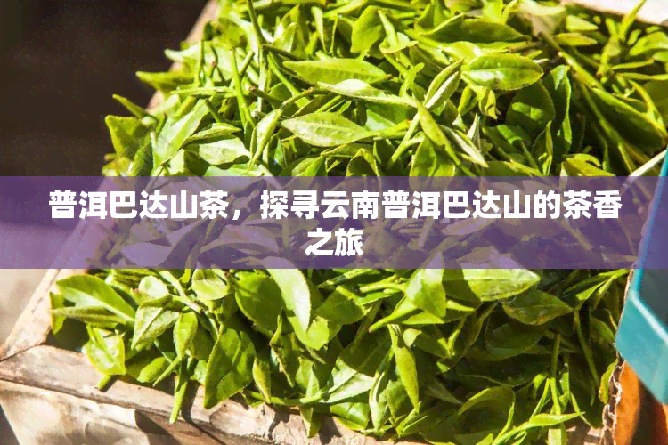 普洱巴达山茶，探寻云南普洱巴达山的茶香之旅