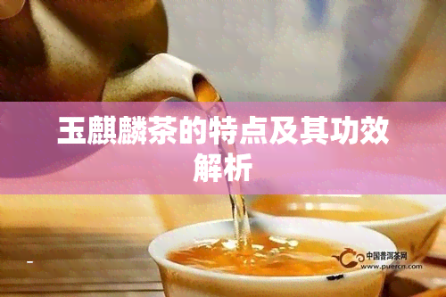 玉麒麟茶的特点及其功效解析