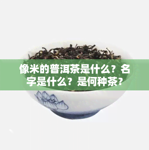 像米的普洱茶是什么？名字是什么？是何种茶？