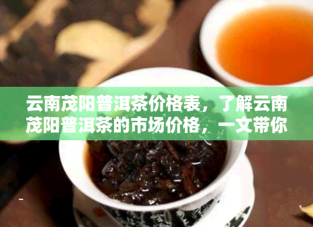 云南茂阳普洱茶价格表，了解云南茂阳普洱茶的市场价格，一文带你全面掌握！