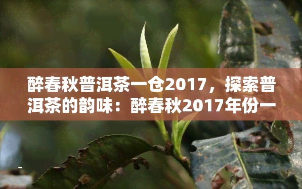 醉春秋普洱茶一仓2017，探索普洱茶的韵味：醉春秋2017年份一仓珍藏品鉴