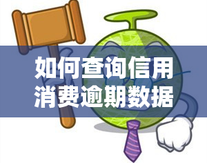 如何查询信用消费逾期数据？