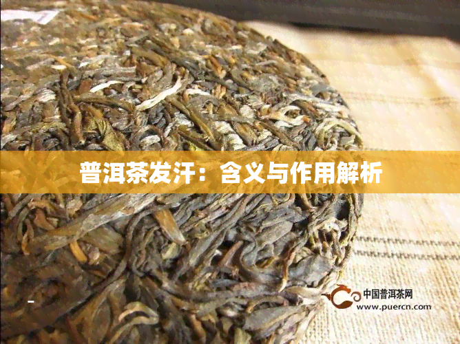 普洱茶发汗：含义与作用解析