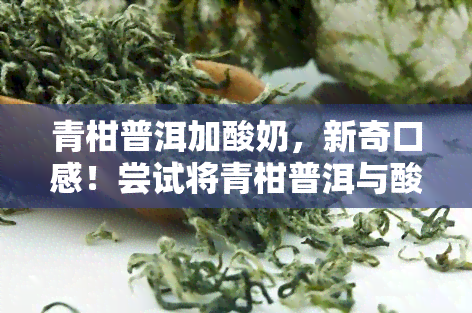 青柑普洱加酸奶，新奇口感！尝试将青柑普洱与酸奶混合，享受独特的饮品体验