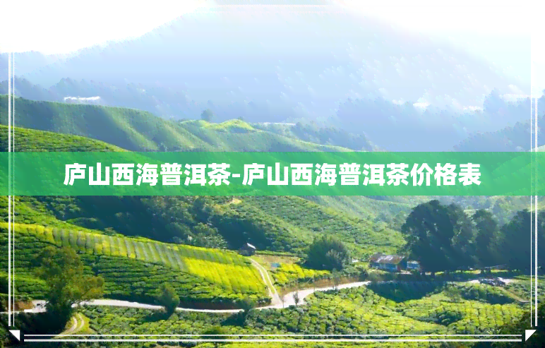 庐山西海普洱茶-庐山西海普洱茶价格表