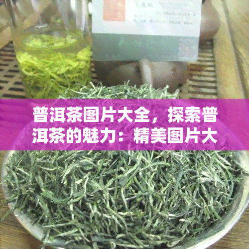 普洱茶图片大全，探索普洱茶的魅力：精美图片大全一览无余！