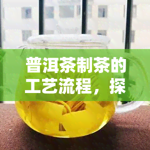 普洱茶制茶的工艺流程，探秘普洱茶的制作过程：揭秘普洱茶制茶的工艺流程