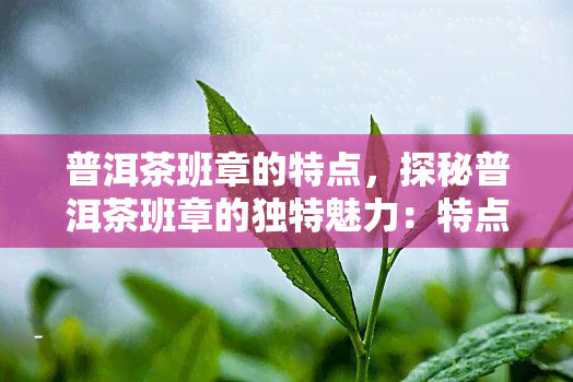 普洱茶班章的特点，探秘普洱茶班章的独特魅力：特点解析