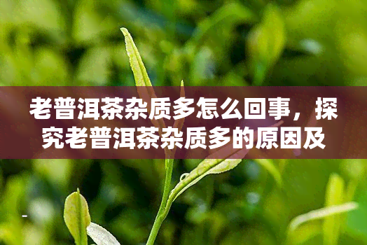 老普洱茶杂质多怎么回事，探究老普洱茶杂质多的原因及其处理方法