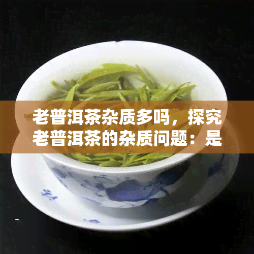 老普洱茶杂质多吗，探究老普洱茶的杂质问题：是否真的很多？