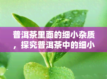 普洱茶里面的细小杂质，探究普洱茶中的细小杂质：对品质和口感的影响