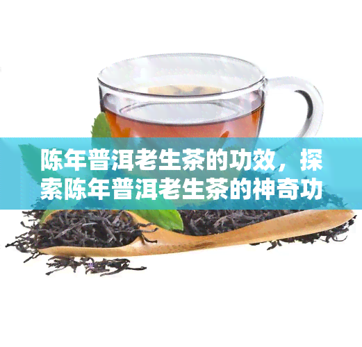 陈年普洱老生茶的功效，探索陈年普洱老生茶的神奇功效