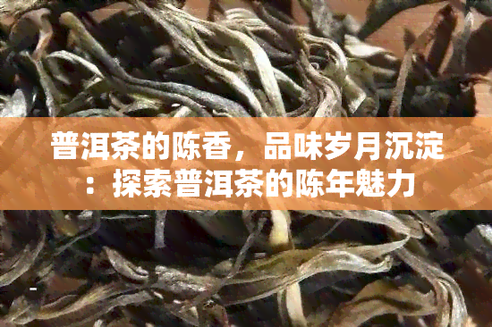 普洱茶的陈香，品味岁月沉淀：探索普洱茶的陈年魅力