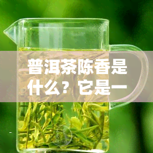 普洱茶陈香是什么？它是一种独特的香气与口感，是普洱茶的一种特殊品质。