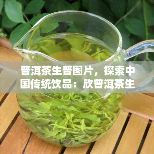 普洱茶生普图片，探索中国传统饮品：欣普洱茶生普的美丽图片