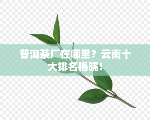 普洱茶厂在哪里？云南十大排名揭晓！