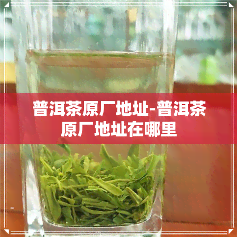 普洱茶原厂地址-普洱茶原厂地址在哪里