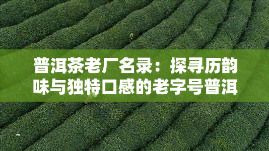 普洱茶老厂名录：探寻历韵味与独特口感的老字号普洱茶