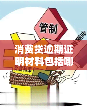 消费贷逾期证明材料包括哪些内容及要求？