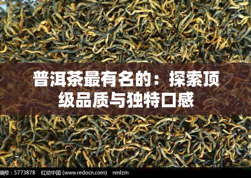 普洱茶最有名的：探索顶级品质与独特口感