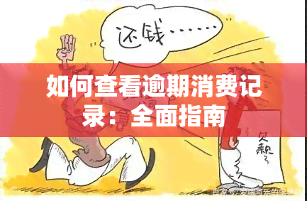 如何查看逾期消费记录：全面指南