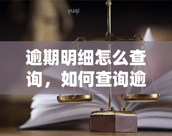 逾期明细怎么查询，如何查询逾期明细？详细步骤解析