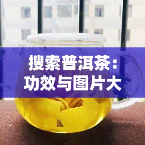 搜索普洱茶：功效与图片大全一网打尽