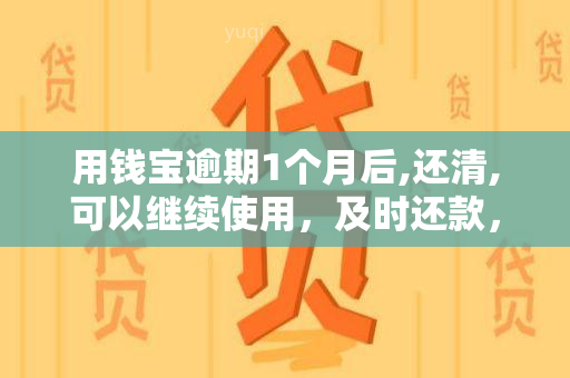 用钱宝逾期1个月后,还清,可以继续使用，及时还款，恢复信用：用钱宝逾期1个月后，仍可继续使用