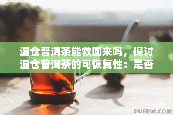 湿仓普洱茶能救回来吗，探讨湿仓普洱茶的可恢复性：是否有可能救回受损的茶叶？