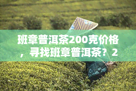 班章普洱茶200克价格，寻找班章普洱茶？200克的价格在这里！