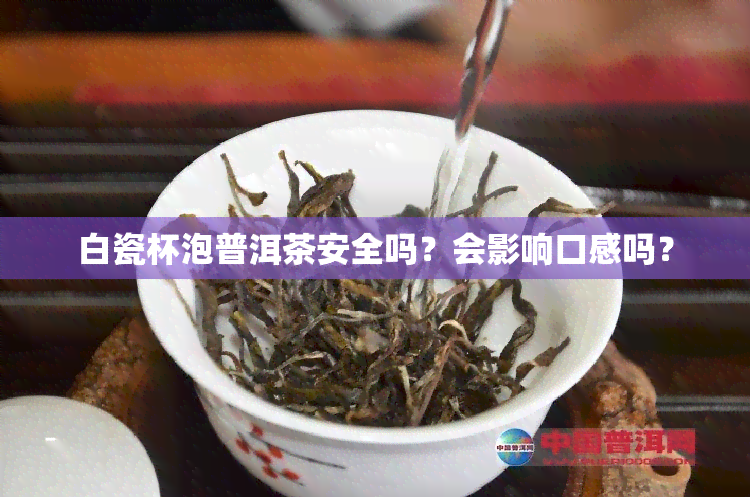 白瓷杯泡普洱茶安全吗？会影响口感吗？