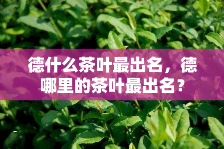 德什么茶叶最出名，德哪里的茶叶最出名？