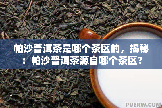 帕沙普洱茶是哪个茶区的，揭秘：帕沙普洱茶源自哪个茶区？