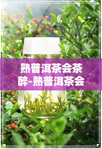 熟普洱茶会茶醉-熟普洱茶会茶醉吗