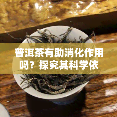 普洱茶有助消化作用吗？探究其科学依据及效果