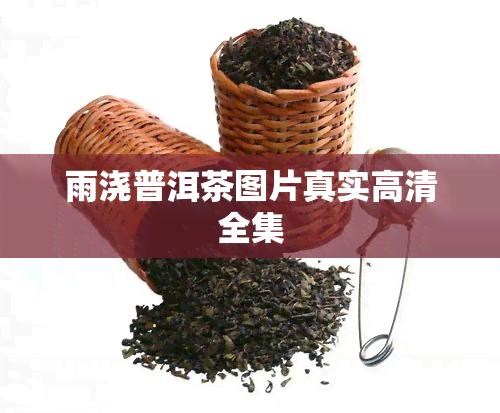 雨浇普洱茶图片真实高清全集