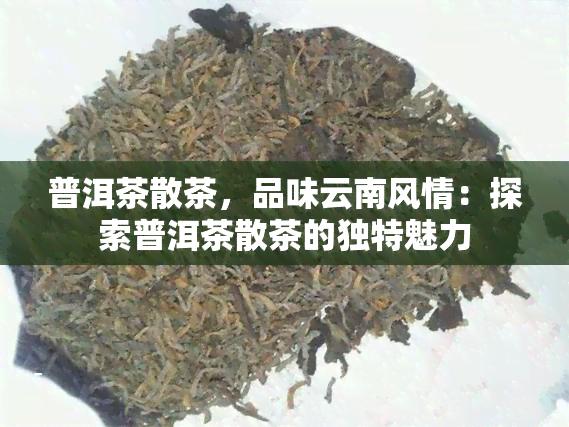 普洱茶散茶，品味云南风情：探索普洱茶散茶的独特魅力