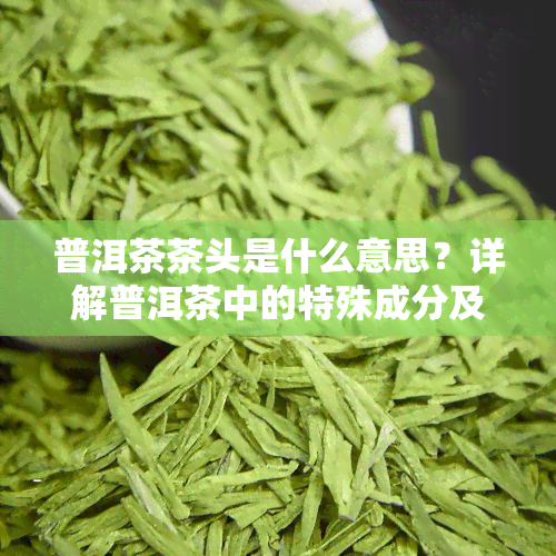 普洱茶茶头是什么意思？详解普洱茶中的特殊成分及其作用