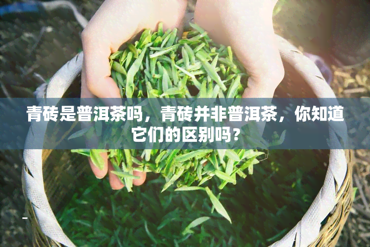 青砖是普洱茶吗，青砖并非普洱茶，你知道它们的区别吗？