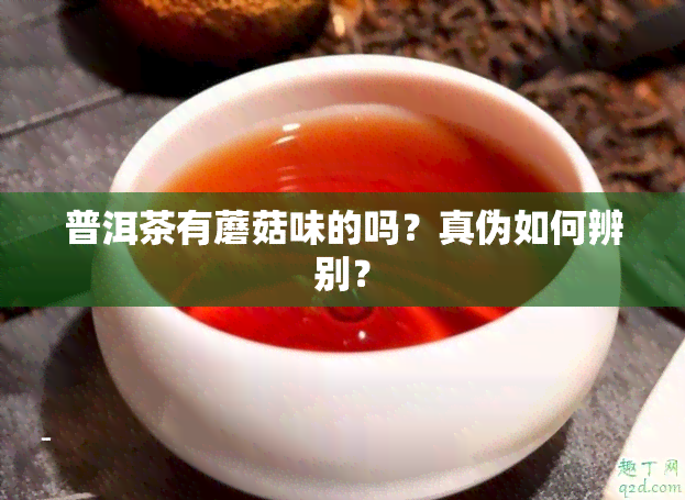 普洱茶有蘑菇味的吗？真伪如何辨别？