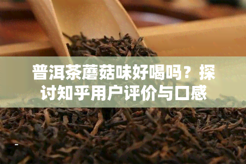 普洱茶蘑菇味好喝吗？探讨知乎用户评价与口感