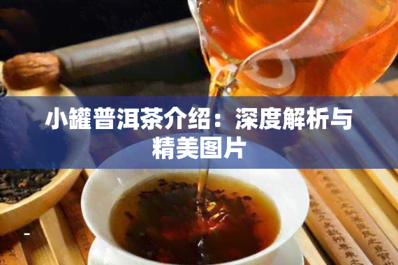 小罐普洱茶介绍：深度解析与精美图片