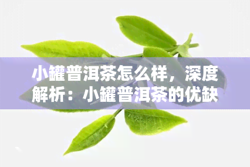 小罐普洱茶怎么样，深度解析：小罐普洱茶的优缺点与市场表现