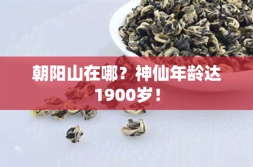 朝阳山在哪？神仙年龄达1900岁！