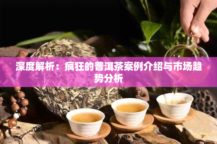 深度解析：疯狂的普洱茶案例介绍与市场趋势分析