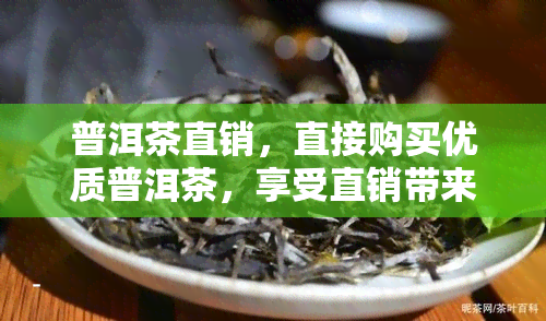 普洱茶直销，直接购买优质普洱茶，享受直销带来的优！