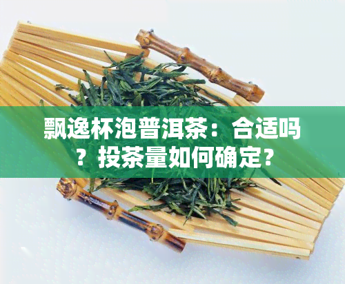 飘逸杯泡普洱茶：合适吗？投茶量如何确定？