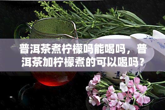 普洱茶煮柠檬吗能喝吗，普洱茶加柠檬煮的可以喝吗？